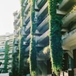 green tree near white concrete building during daytime