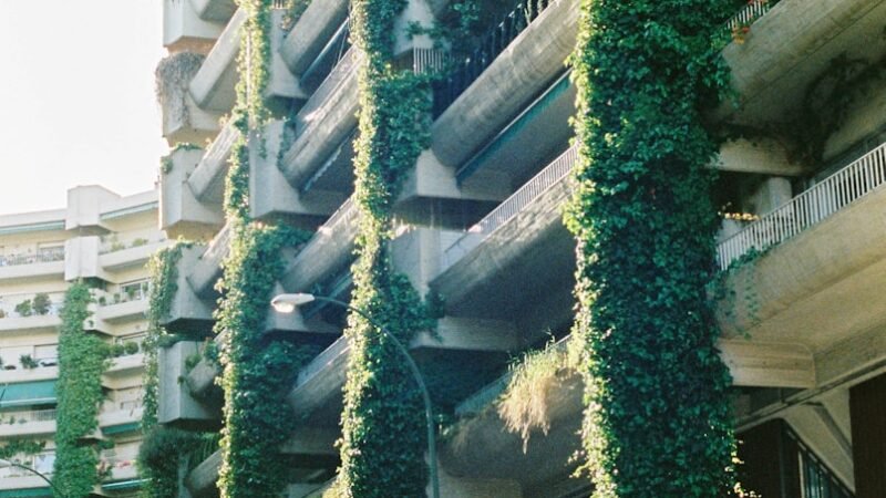 Arquitetura Moderna e Aquecimento Global: Fachadas de edifícios em  grandes centros